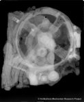 143. Antikythera X-ray